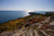 View of Acadia National Park