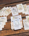 Spirit Animal Tarot Deck