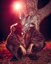 Person in a wolf halloween mask easy men's halloween costume geometric mask crouching near a tree at night wearing SpiritHoods Grey Wolf classic fake fur jacket. Halloween Costume for Men