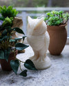 SpiritHoods New Animal Pillar Candles Home Goods Collection