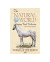Horses of the World Playing Cards