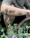 Coyote Desert Wild Temporary Tattoos