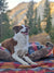 Dire Wolf Ultra Soft Pet Bed | 2-Size Options