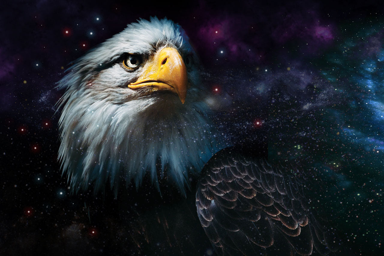 SPIRIT ANIMALS: IS THE EAGLE YOUR ANIMAL GUIDE?