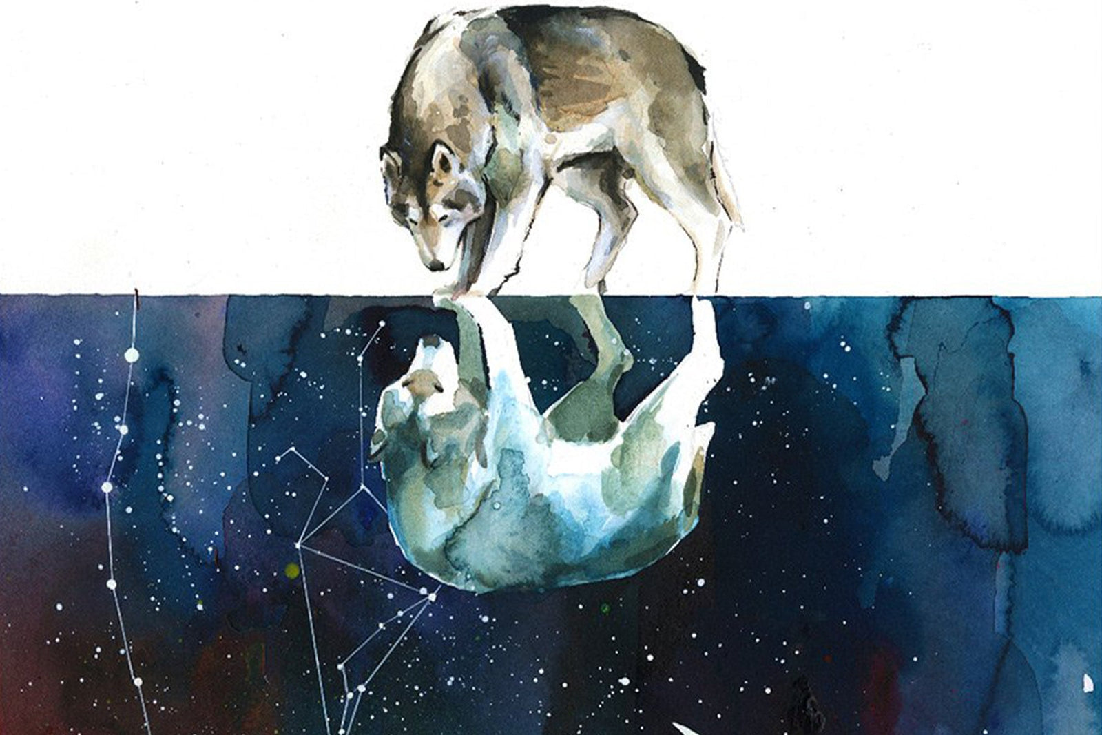 Painting of a wolf looking at reflection in galaxy