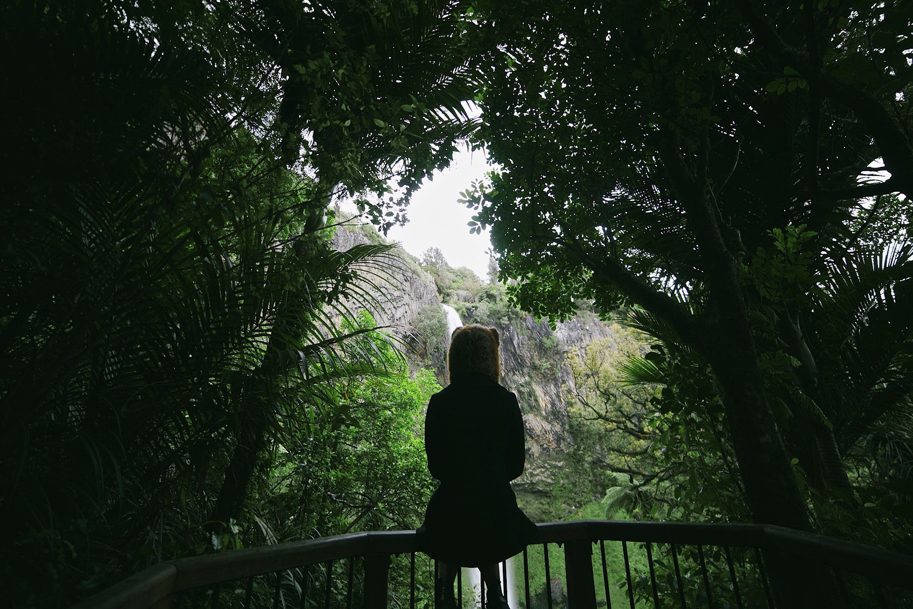 person sitting on ledge looking into forest