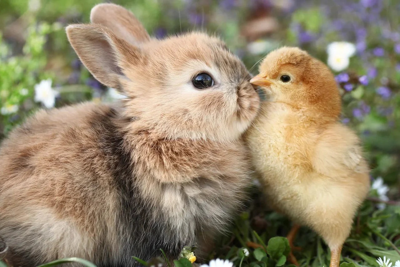 Unlikely Best Friends