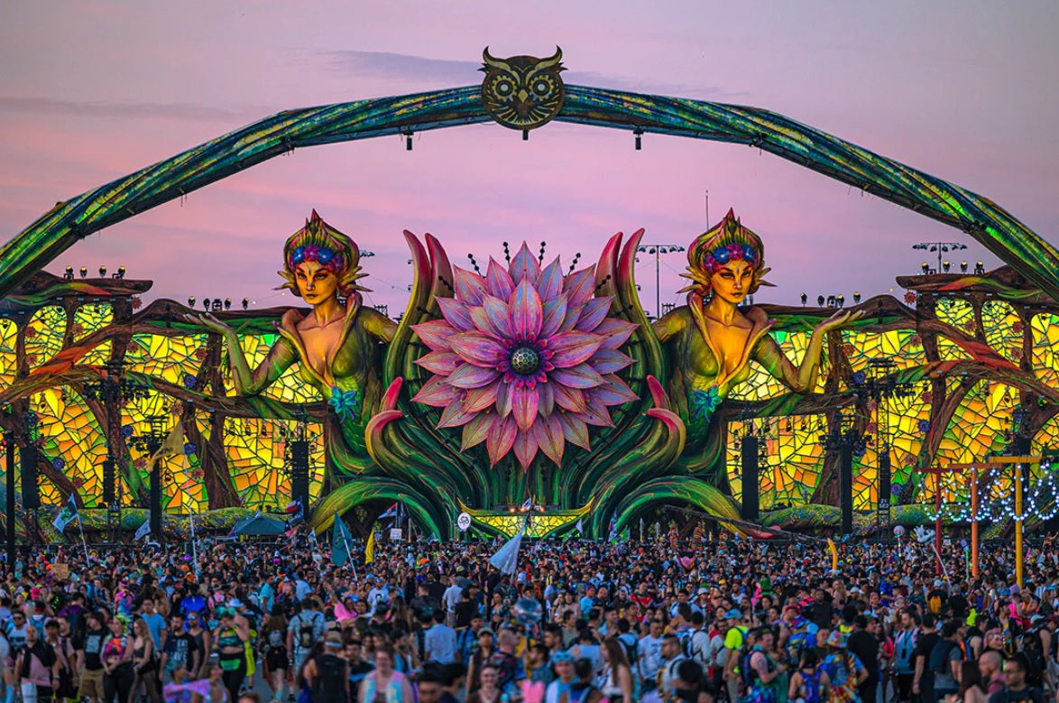 YOUR FESTIVAL GUIDE TO ELECTRIC DAISY CARNIVAL LAS VEGAS 2024