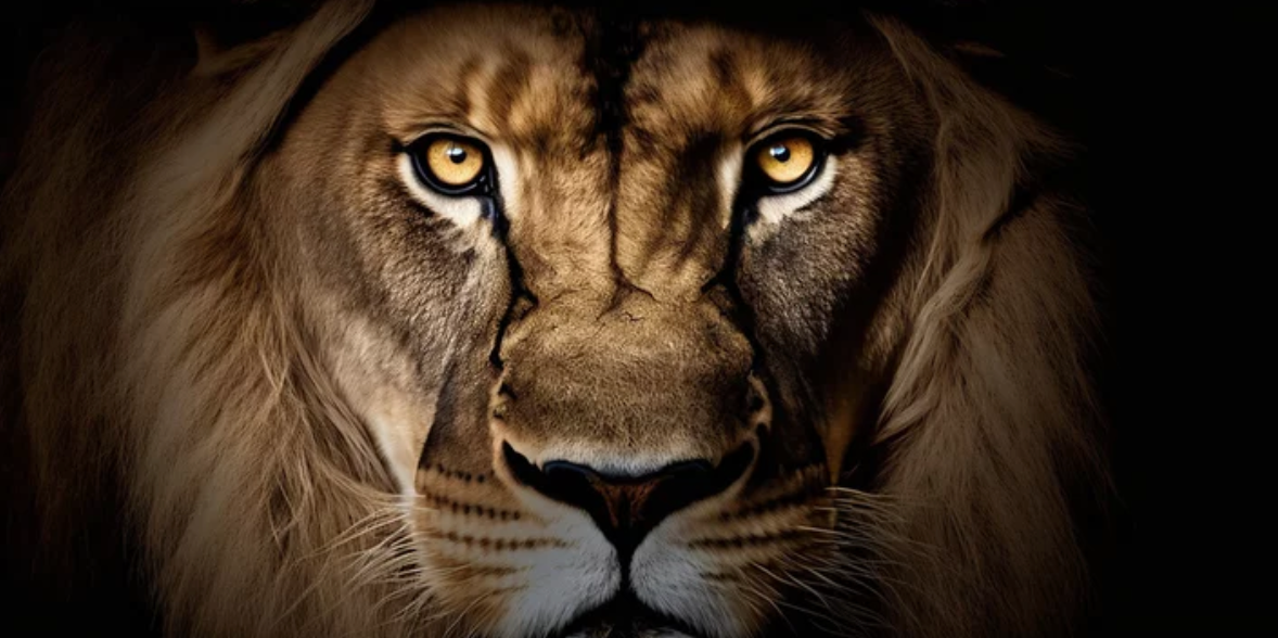 An AI image of a lion's face.