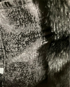 Close-up of a liner fabric with a snakeskin pattern.