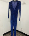 *One Of A Kind / Prototype* Indigo Leopard Velvet Full Burnout Bodysuit - SMALL