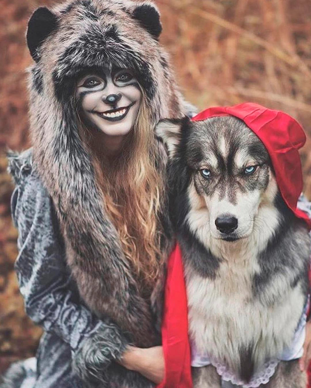 A Woman in SpiritHoods Grey Wolf Fake Fur Hood, doing a Little Red Riding Hood costume with her husky, who is LRRH. Easy Halloween Costumes. Animal-themed Costume Ideas