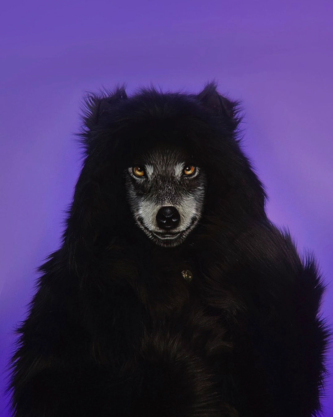 A woman with a wolf painted over her face covering her eyes and mouth to look like a real wolf, in SpiritHoods Classic Black Wolf Faux Fur Coat with the hood up showing black wolf ears on top. 