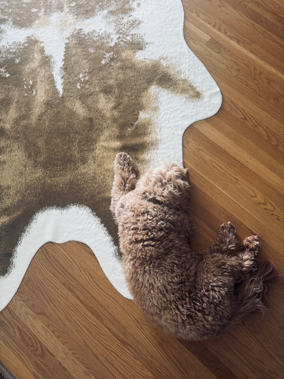 *Last Stock* Bessie faux Cow Rug