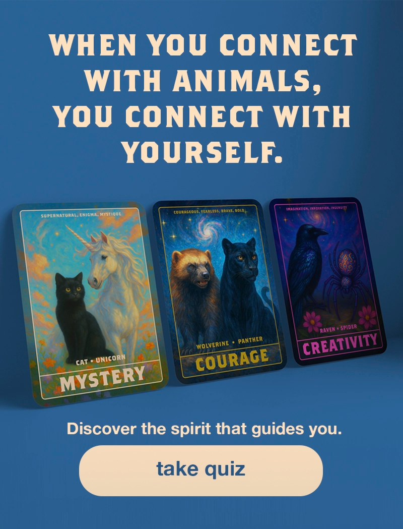 Image with text, "What is your Spirit Animal? The most extensive spirit animal quiz on earth, brought to you by SpiritHoods. Take quiz"