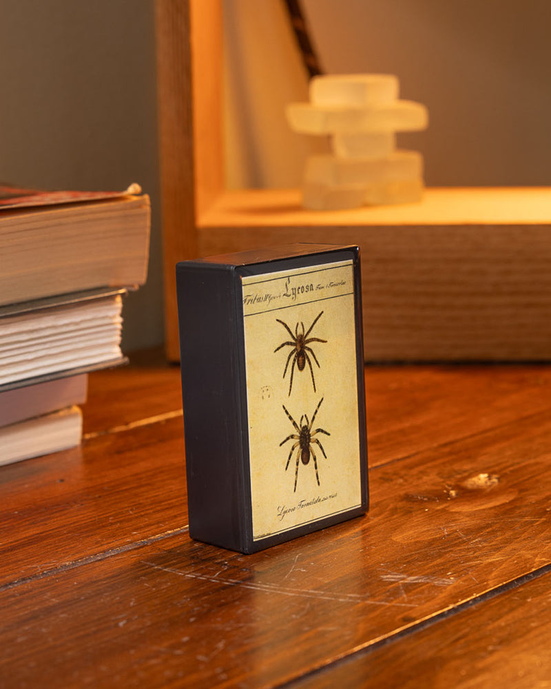 Decorative Matches | Spider Artwork | Reusable Slide Box