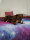 Cute Dog on Luxury Garnet Galaxy Faux Fur Throw 