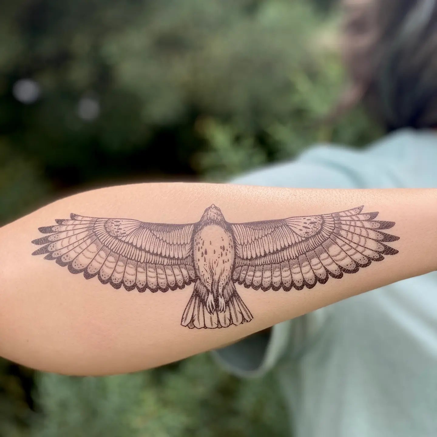 Hawk Temporary Tattoo