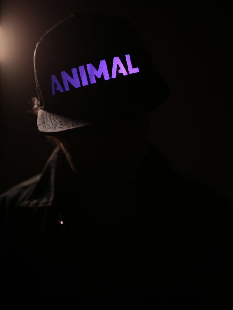 LED Animal Snapback in Purple