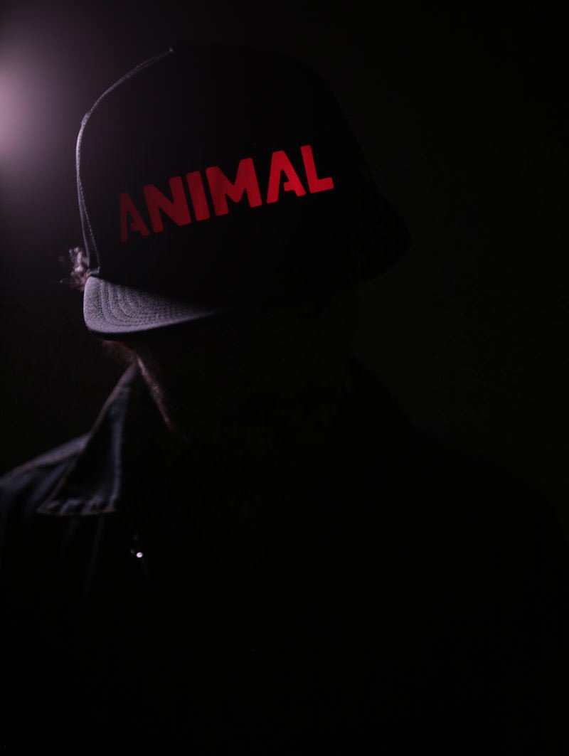 The LED Animal Snapback - SpiritHoods