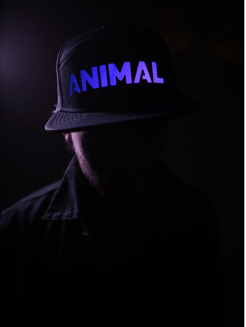 Blue and Purple Fade LED Animal Snapback