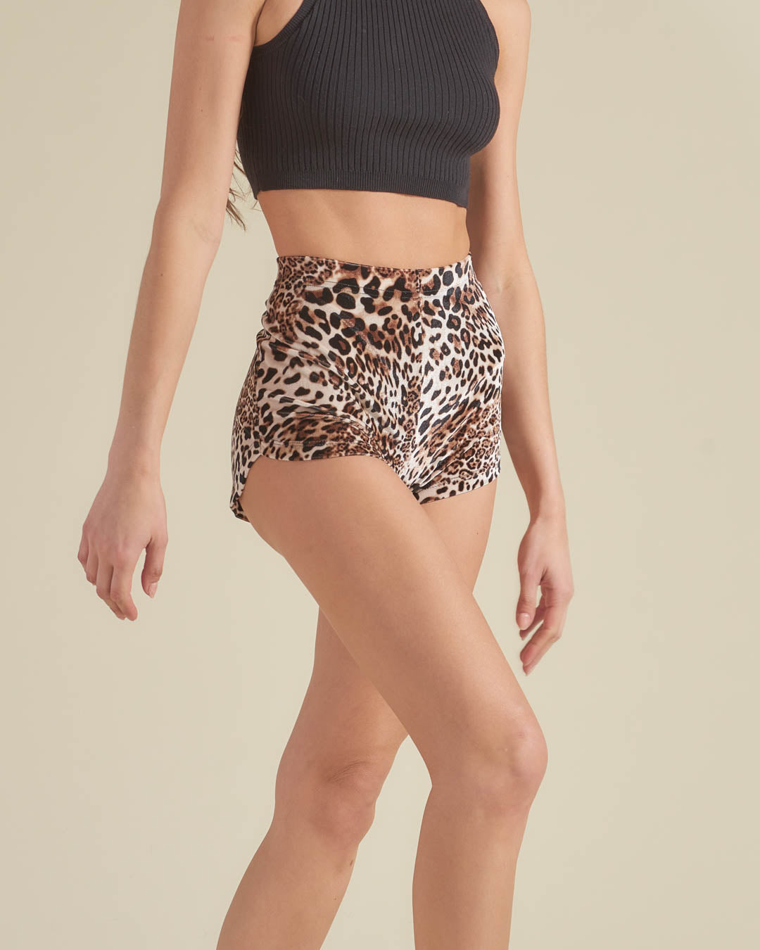Arabian Leopard Velvet Booty Short | Women&#39;s